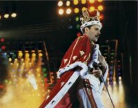  Freddie 