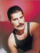 Freddie